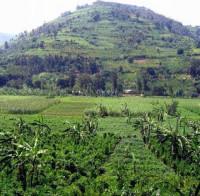 <img class='cat_full_img' src='https://rbkt.org/b/90/62/76/9062763bbabc36706ed59040dc164166.jpg' />