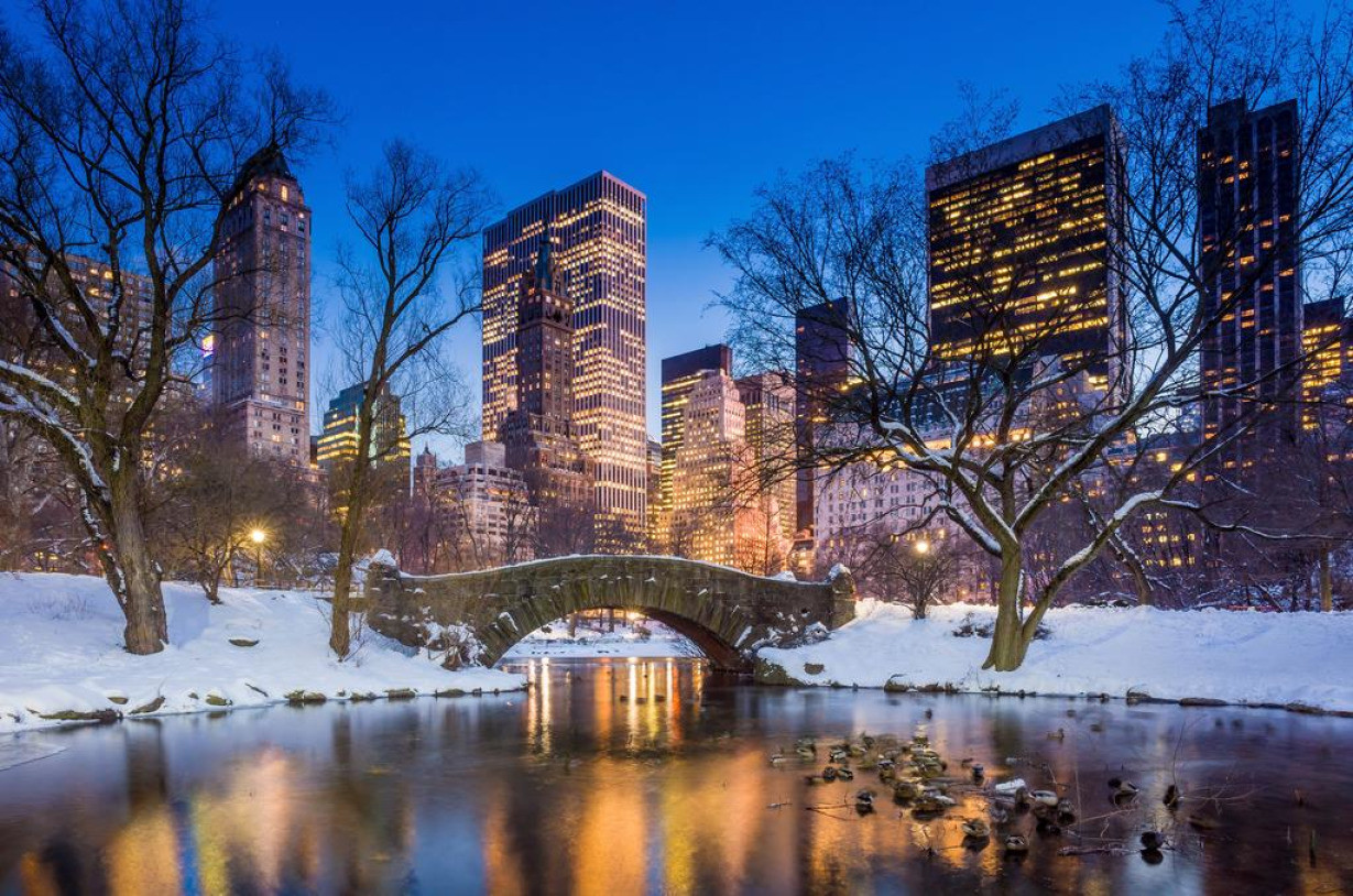 New York зима централ парк