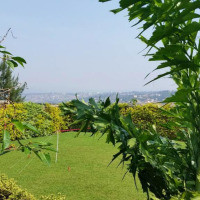 <img class='cat_full_img' src='https://rbkt.org/b/2a/4f/7a/2a4f7af8618efeda6964e09f177df313.jpg' />