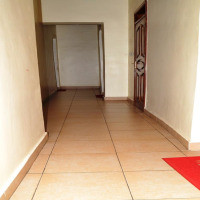 <img class='cat_full_img' src='https://rbkt.org/b/45/6b/1c/456b1c9cea4f5b1c268b1fa4d8ead694.jpg' />