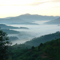 <img class='cat_full_img' src='https://rbkt.org/b/9a/a6/31/9aa631704490658b4431f1b64b12801b.jpg' />