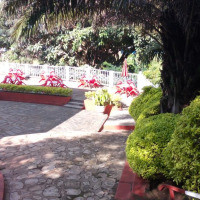 <img class='cat_full_img' src='https://rbkt.org/b/f2/47/6d/f2476d70ae03f6088d1b9426a5440744.jpg' />