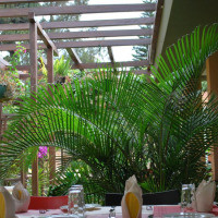 <img class='cat_full_img' src='https://rbkt.org/b/66/4e/62/664e62f81d6eebe333dfd5df478e2dbf.jpg' />