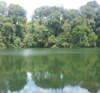 <img class='cat_full_img' src='https://rbkt.org/b/ef/e3/e9/efe3e917110f304ab11d4203be8eff96.jpg' />