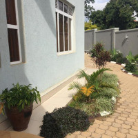 <img class='cat_full_img' src='https://rbkt.org/b/fd/7e/a3/fd7ea32555bc87d618e905a791d4eab1.jpg' />