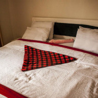 <img class='cat_full_img' src='https://rbkt.org/b/e1/6c/12/e16c1214a96445b136d5156ff5b6fea6.jpg' />