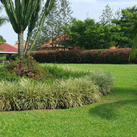 <img class='cat_full_img' src='https://rbkt.org/b/cd/84/19/cd8419f1016bf808faf2dbb7d1034333.jpg' />