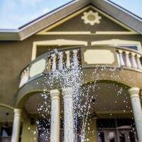 <img class='cat_full_img' src='https://rbkt.org/b/c7/0a/50/c70a504f29e4b038194c150082216247.jpg' />