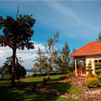 <img class='cat_full_img' src='https://rbkt.org/b/59/2d/5d/592d5da2b3729b3d8e31ca2c96ec84dd.jpg' />