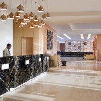 <img class='cat_full_img' src='https://rbkt.org/b/b6/ab/d0/b6abd040417be8d3df1a4aefe764ed68.jpg' />