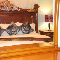 <img class='cat_full_img' src='https://rbkt.org/b/cf/75/45/cf75450fd7ccccdf482c2c8133e8e3ed.jpg' />