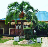 <img class='cat_full_img' src='https://rbkt.org/b/1a/cc/fa/1accfa2a5b81f079ef07a0199e666ce0.jpg' />