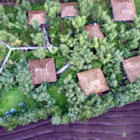 <img class='cat_full_img' src='https://rbkt.org/b/25/20/35/2520351f23955f91002503b2c92835dc.jpg' />