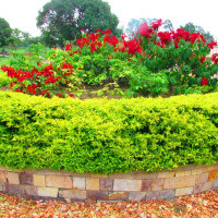 <img class='cat_full_img' src='https://rbkt.org/b/da/77/8d/da778d5dc1e9299988f285264c6eac8d.jpg' />