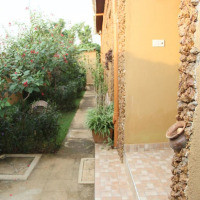 <img class='cat_full_img' src='https://rbkt.org/b/f8/43/ee/f843eecd752b1a330e44b30cd032201d.jpg' />