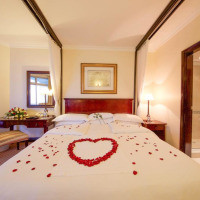 <img class='cat_full_img' src='https://rbkt.org/b/e1/41/e4/e141e4853657ff1441bde6678e154132.jpg' />