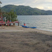 <img class='cat_full_img' src='https://rbkt.org/b/4d/dc/25/4ddc250e40737e76257d8d7d18012218.jpg' />