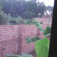 <img class='cat_full_img' src='https://rbkt.org/b/4e/af/0c/4eaf0c59b5b00e2d7a9e8591965d4f10.jpg' />