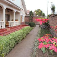 <img class='cat_full_img' src='https://rbkt.org/b/5c/ae/92/5cae9204177c3a329c062d90a89df707.jpg' />