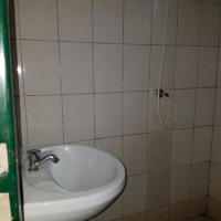 <img class='cat_full_img' src='https://rbkt.org/b/ad/1b/d9/ad1bd9ed934b5fcfeb4e44cd61c87d55.jpg' />