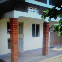 <img class='cat_full_img' src='https://rbkt.org/b/1f/82/2a/1f822a8c80e14b2d42fd7ead3a5d4b31.jpg' />