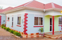 <img class='cat_full_img' src='https://rbkt.org/b/d4/17/f1/d417f1f90efbd00005731e9da65c4b44.jpg' />