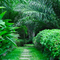 <img class='cat_full_img' src='https://rbkt.org/b/97/0c/e9/970ce91d27f6fceb30de9369205586e9.jpg' />