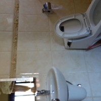 <img class='cat_full_img' src='https://rbkt.org/b/11/ec/a4/11eca4db7796b49574c9ed5c29e9e3eb.jpg' />