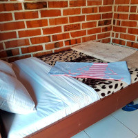 <img class='cat_full_img' src='https://rbkt.org/b/d1/d8/8c/d1d88ccee2b98388451e399f31ee5987.jpg' />