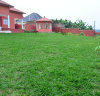 <img class='cat_full_img' src='https://rbkt.org/b/61/56/95/61569583fec155786d8f0165471c2733.jpg' />