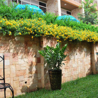 <img class='cat_full_img' src='https://rbkt.org/b/bd/c0/aa/bdc0aae3315244c5ecd45f938c15fb99.jpg' />