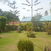 <img class='cat_full_img' src='https://rbkt.org/b/6f/73/d2/6f73d24ea39d827076542a03eac1f218.jpg' />