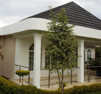 <img class='cat_full_img' src='https://rbkt.org/b/3a/63/45/3a634546f61b0228fcd5b1923e9f0c03.jpg' />