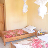 <img class='cat_full_img' src='https://rbkt.org/b/d9/4e/30/d94e30a2b33e8841f099fc24eadc1ffa.jpg' />