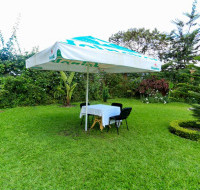 <img class='cat_full_img' src='https://rbkt.org/b/c5/65/86/c5658654e46cadbd676bac5914e66447.jpg' />