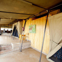 <img class='cat_full_img' src='https://rbkt.org/b/d4/77/fc/d477fc02a17dd82c4dc80dc747a4f011.jpg' />