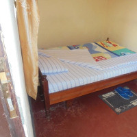 <img class='cat_full_img' src='https://rbkt.org/b/f9/1c/f5/f91cf501cba651b6cf91518b4ca8ad8c.jpg' />