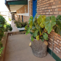 <img class='cat_full_img' src='https://rbkt.org/b/b7/5a/fc/b75afcd0b31840680d0c8312821fde35.jpg' />