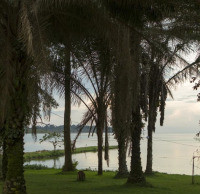 <img class='cat_full_img' src='https://rbkt.org/b/ca/26/a8/ca26a83c8cebb09a76fa30a381003b22.jpg' />