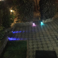 <img class='cat_full_img' src='https://rbkt.org/b/ae/b9/89/aeb9899b3a7644d30a7dfd2827d0ece5.jpg' />