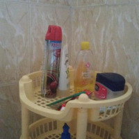 <img class='cat_full_img' src='https://rbkt.org/b/2c/56/ff/2c56ff73629d7953f9a3f29f3509d838.jpg' />