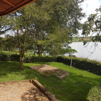 <img class='cat_full_img' src='https://rbkt.org/b/13/95/aa/1395aa32d750d6b224012ec3ae181653.jpg' />