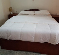 <img class='cat_full_img' src='https://rbkt.org/b/e9/e1/4c/e9e14c58f3e743ad76282d4e7b48abc6.jpg' />