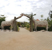 <img class='cat_full_img' src='https://rbkt.org/b/81/ac/7c/81ac7c8f96ac0c15cc95a1ceae05a215.jpg' />