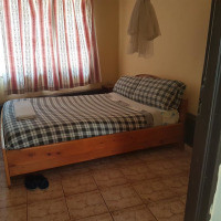 <img class='cat_full_img' src='https://rbkt.org/b/e9/50/33/e95033a8b450bfe286c91abb9590fa72.jpg' />