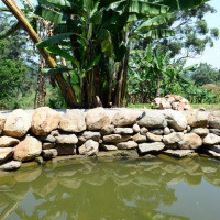 <img class='cat_full_img' src='https://rbkt.org/b/45/8d/54/458d5418f97fa33405df6841335f92b7.jpg' />