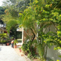 <img class='cat_full_img' src='https://rbkt.org/b/18/bd/33/18bd33a442b416a2d41603e022070e59.jpg' />