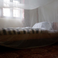 <img class='cat_full_img' src='https://rbkt.org/b/2e/e8/10/2ee810027046d4e215019f9b4ae9a34e.jpg' />
