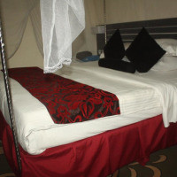 <img class='cat_full_img' src='https://rbkt.org/b/5a/f5/bc/5af5bc054cf26db2e4d43ac8112b1d96.jpg' />