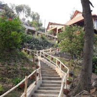 <img class='cat_full_img' src='https://rbkt.org/b/bf/39/05/bf390512862ca84598652a0c15532aef.jpg' />